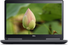 Dell Precision 7720 Core i7 7820HQ (7-gen.) 2,9 GHz / 16 GB / 240 SSD / 17,3'' FullHD / Win 10 Pro + Nvidia Quadro M1200